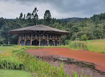 colombia/manizales/landmark/avistamiento-de-aves-manizales-recinto-del-pensamiento