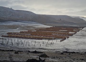 argentina/central-patagonia/landmark/monumento-patagonia