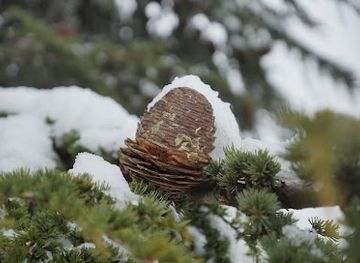 lebanon/keserwan-district/landmark/qanat-bakish