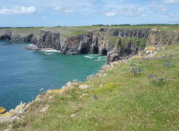 united-kingdom/pembrokeshire/attraction/national-trust-stackpole-2