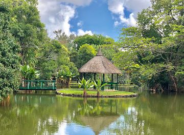 mauritius/pamplemousses/landmark/sir-seewoosagur-ramgoolam-botanical-garden