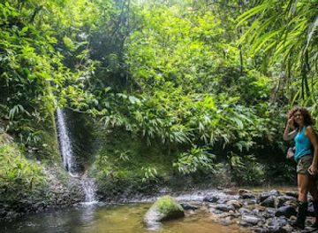 ecuador/amazon/landmark/akangau-jungle-expeditions