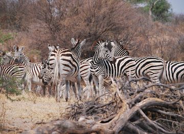 botswana/kgalagadi-transfrontier-park/landmark/boteti-river