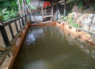 dominica/saint-david/landmark/da-s-cape