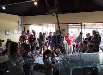 brazil/florianopolis/ingleses-do-rio-vermelho/landmark/museu-do-naufragio-ong-pas-projeto-de-arqueologia-subaquatica