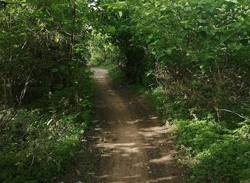 the-gambia/brikama/landmark/nyambai-forest-park