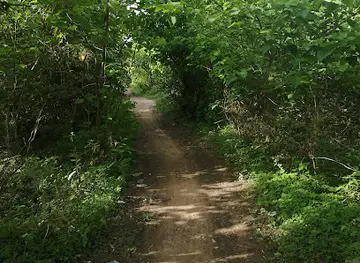 Nyambai Forest Park