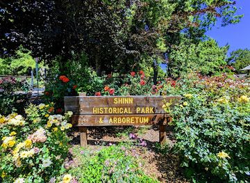california/union-city/landmark/shinn-historical-park-and-arboretum