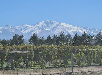 argentina/cuyo/landmark/bodega-la-azul