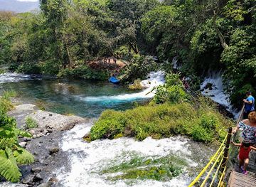mexico/veracruz/zona-dorada/landmark/orquidario