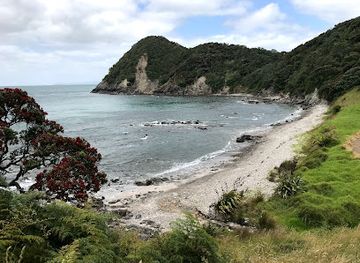 new-zealand/northland/landmark/bream-head-coast-walks