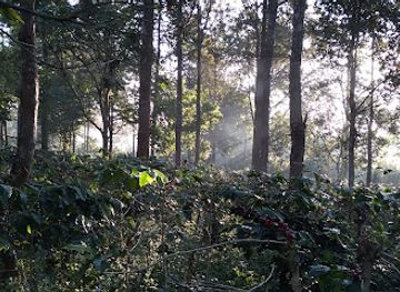 myanmar-burma/pyin-oo-lwin/landmark/royal-lucky-home-coffee-garden