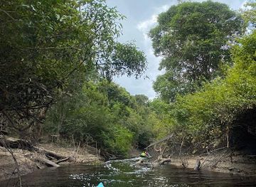 indonesia/central-kalimantan/landmark/central-borneo-guide