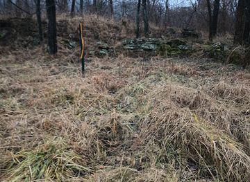 west-virginia/metro-valley/landmark/stiles-mansion-ruins