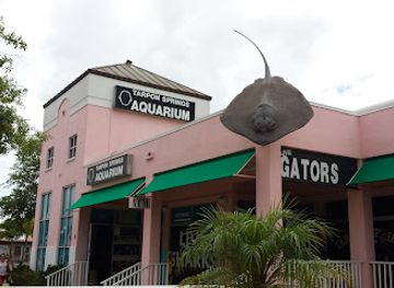 florida/sun-coast/landmark/tarpon-springs-aquarium-and-animal-sanctuary