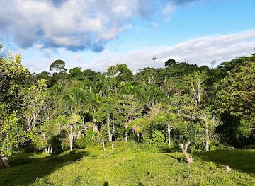 colombia/amazon/landmark/leticia-amazonas-jungle-tours-operator