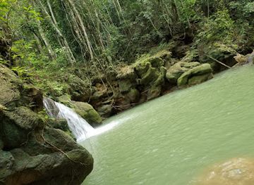 jamaica/south-coast/landmark/breadnut-valley-falls