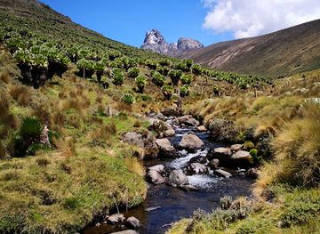 kenya/kilimanjaro-region/landmark/mount-kenya
