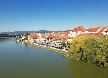 slovenia/drava/landmark/stara-trta-prodaja-in-degustacija-vin-d-o-o