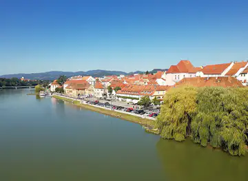Stara trta, prodaja in degustacija vin, d.o.o.