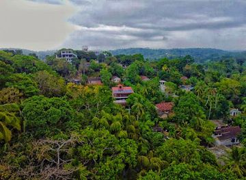 sri-lanka/mirissa/landmark/the-jungle-view-yoga-restaurant-rooms