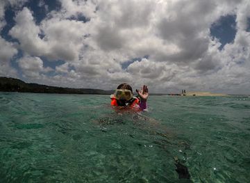vanuatu/shefa-province/landmark/vanuatu-ecotours