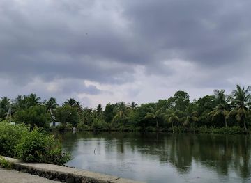 india/kerala-backwaters/landmark/kumbalangi-kavaru-spot