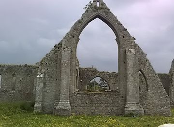 ireland/county-kildare/landmark/castledermot-abbey