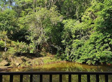 brunei/labu-forest-reserve/landmark/tasek-lama-waterfall