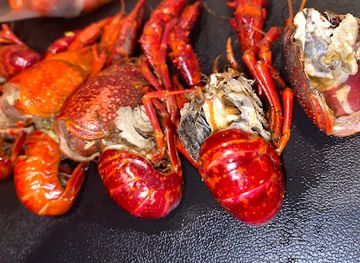 mississippi/mccomb/landmark/heads-tails