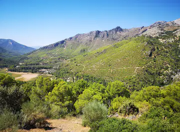 Parque Cinegético Collado del Almendral