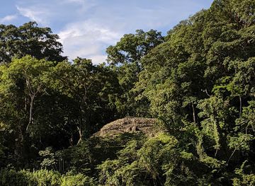 mexico/lacandon-jungle/landmark/parque-nacional-sierra-del-lacandon