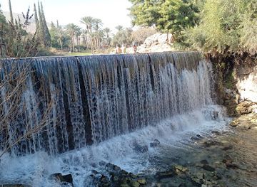 israel/beit-she-an/landmark/gan-hashlosha-national-park
