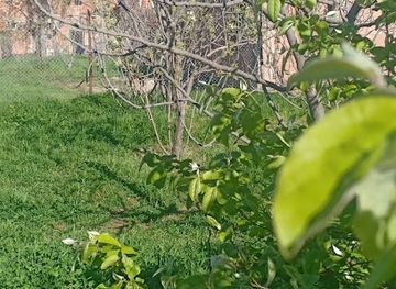 algeria/metidja-plain/landmark/thala-hidja