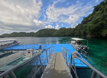 palau/jellyfish-lake/landmark/jellyfish-lake-entry-point