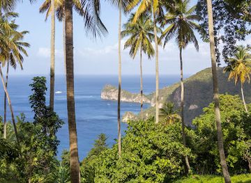 saint-lucia/vieux-fort-quarter/landmark/morne-coubaril-historical-adventure-park