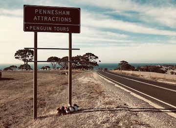 australia/kangaroo-island/landmark/penneshaw-penguin-centre