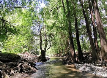 guatemala/huehuetenango/landmark/campo-alegre-huehuetenango
