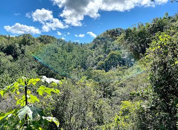 puerto-rico/caribbean-national-forest/landmark/bosque-estatal-de-guajataca