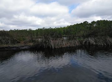 alabama/alabama-coastal-birding-trail/landmark/graham-creek-nature-preserve