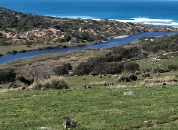australia/fleurieu-peninsula/landmark/waitpinga-farm-quad-bike-adventures