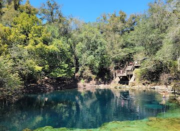 florida/suwannee-river/landmark/royal-springs
