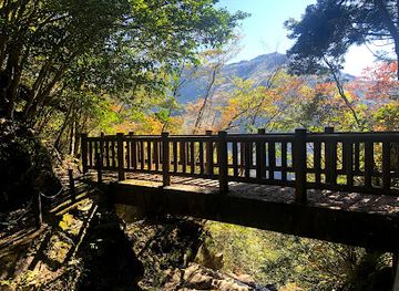 japan/shikoku/landmark/kurozo-marshland