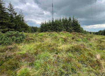 ireland/county-longford/landmark/cairn-b-prehistoric-monument