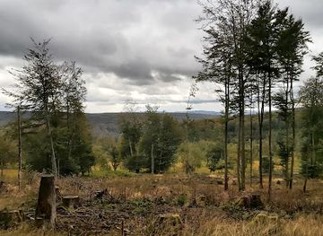 germany/hunsruck/landmark/hunsruck-hochwald-national-park