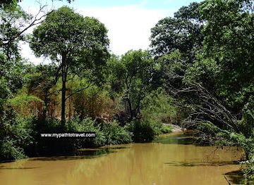malawi/lilongwe/area-12/landmark/lilongwe-nature-sanctuary