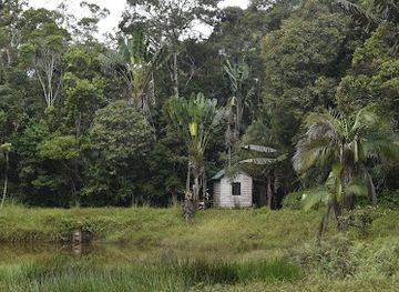 madagascar/andasibe-mantadia-national-park/landmark/parc-mitsinjo