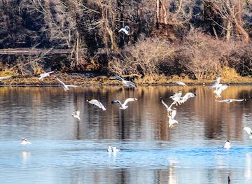 alabama/alabama-coastal-birding-trail/landmark/wheeler-national-wildlife-refuge-visitor-center