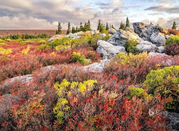 new-mexico/carson-national-forest/landmark/white-sands-national-park