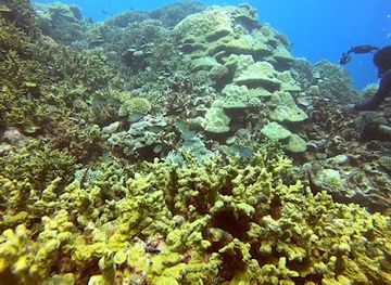 maldives/addu-city/landmark/banana-reef-addu